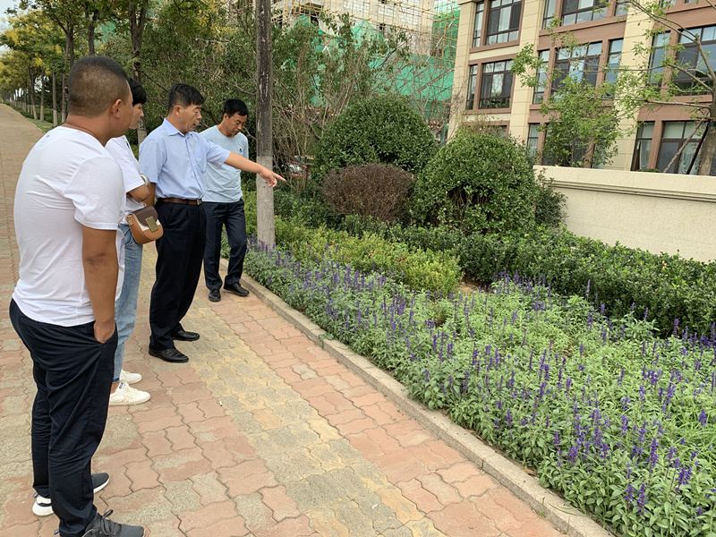 20.园林公司赴威５鞑橐计纺仙较钅.jpg