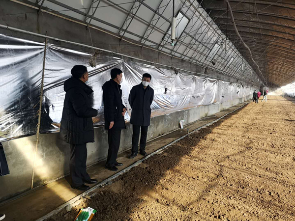 05.农业总公司杨柏明董事长欢迎朱君宝副区长调研_副本.jpg